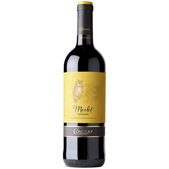 Merlot DOC 2020 cl.75    CONCILIO